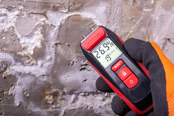 Best Emergency Mold Removal  in Charleston, IL